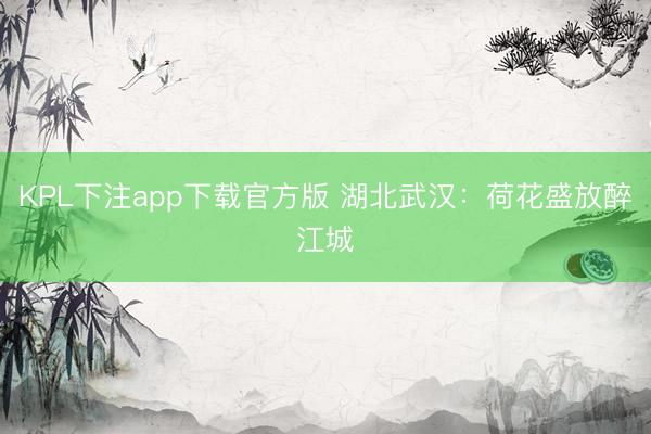 KPL下注app下载官方版 湖北武汉：荷花盛放醉江城