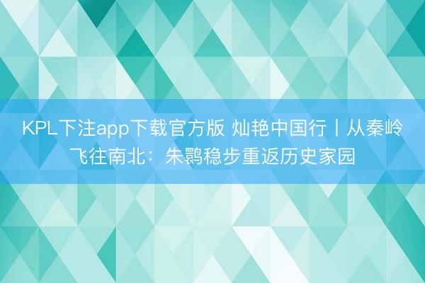 KPL下注app下载官方版 灿艳中国行丨从秦岭飞往南北：朱鹮稳步重返历史家园