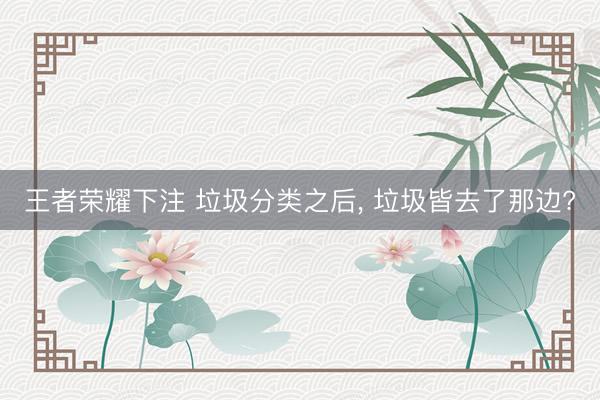 王者荣耀下注 垃圾分类之后， 垃圾皆去了那边?