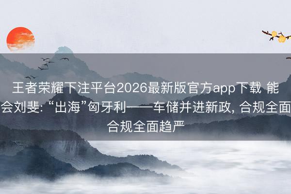 王者荣耀下注平台2026最新版官方app下载 能源分会刘斐: “出海”匈牙利——车储并进新政， 合规全面趋严