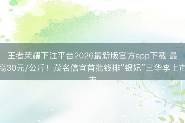 王者荣耀下注平台2026最新版官方app下载 最高30元/公斤！茂名信宜首批钱排“银妃”三华李上市
