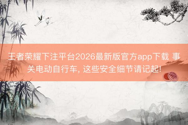 王者荣耀下注平台2026最新版官方app下载 事关电动自行车， 这些安全细节请记起!