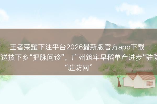 王者荣耀下注平台2026最新版官方app下载 巨匠送技下乡“把脉问诊”，广州筑牢早稻单产进步“驻防网”