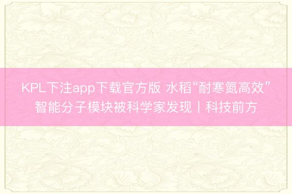 KPL下注app下载官方版 水稻“耐寒氮高效”智能分子模块被科学家发现丨科技前方